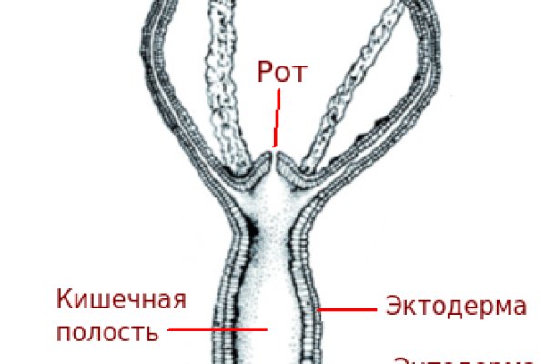 Зеркала сайта кракен tor