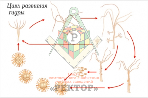 Кракен зеркало рабочее на сегодня